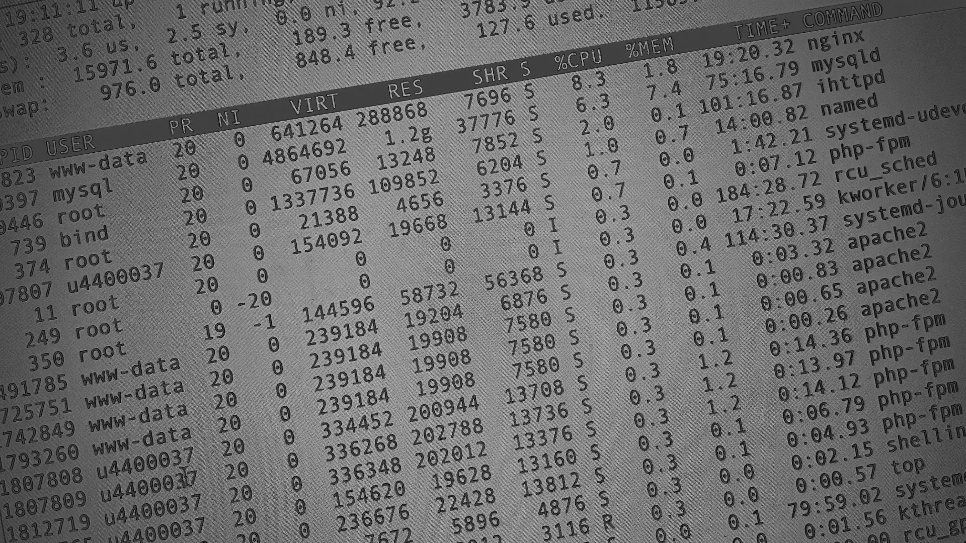 Настройка сервера в Новоузенске