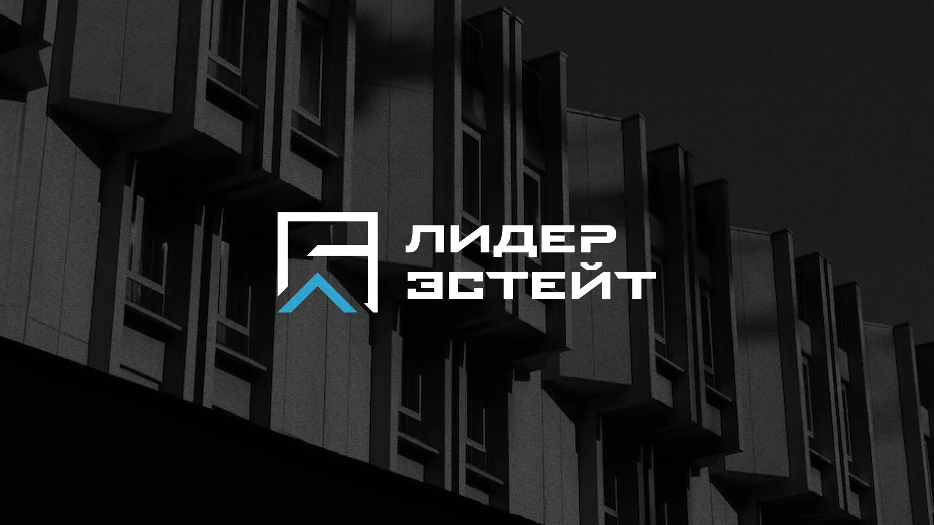 Разработка логотипа агентства недвижимости «Лидер Эстейт» в Новоузенске